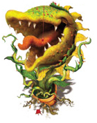 Image Image